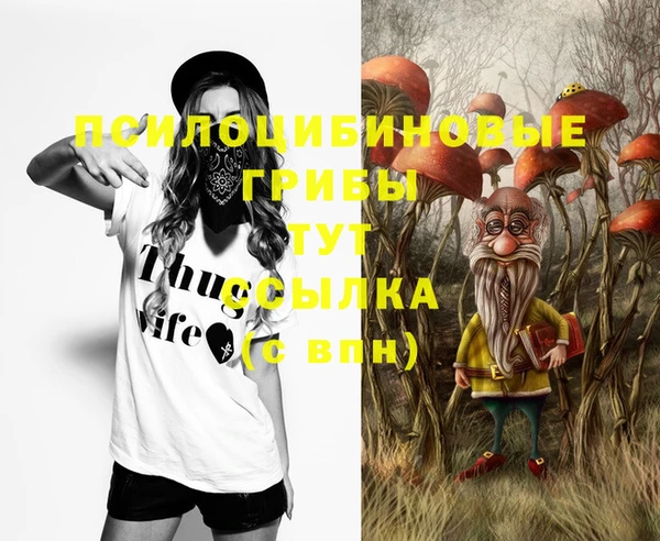mix Баксан