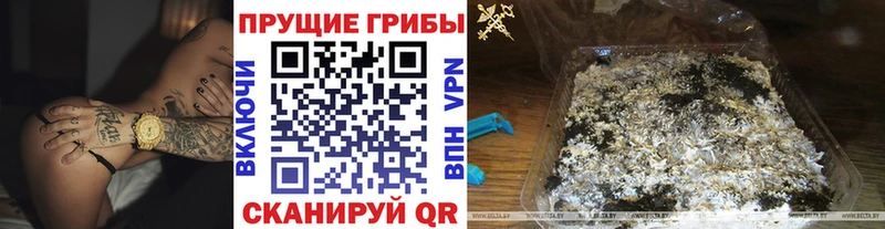 где найти   Городище  кракен сайт  Галлюциногенные грибы MAGIC MUSHROOMS 